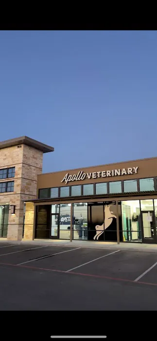 Apollo Veterinary South Austin Picture 2