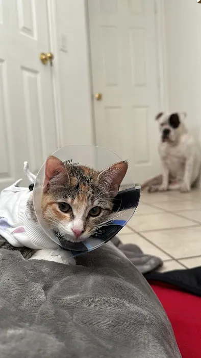 Apollo Veterinary South Austin Picture 6