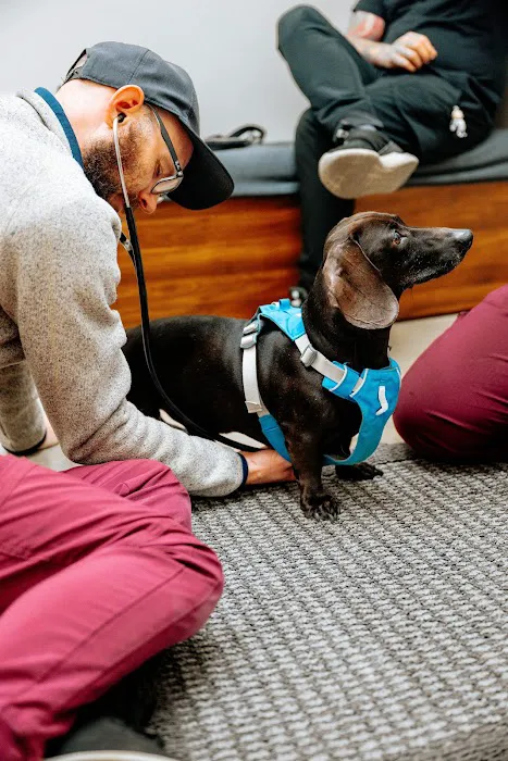Meow Bark Veterinary Picture 5