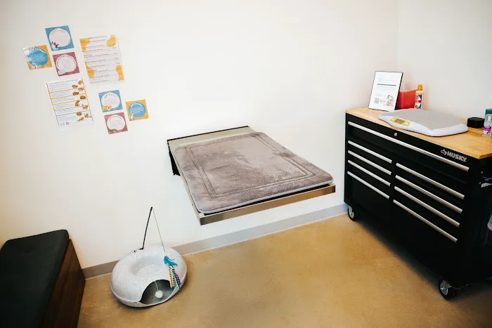 Meow Bark Veterinary Picture 9