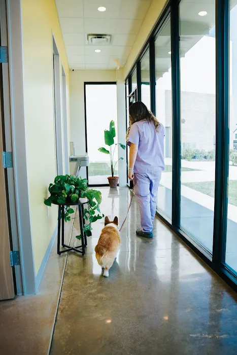 Meow Bark Veterinary Picture 8