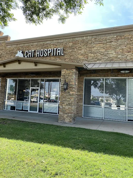 South Austin Cat Hospital Picture 1
