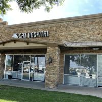 South Austin Cat Hospital ico
