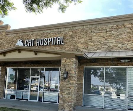 South Austin Cat Hospital