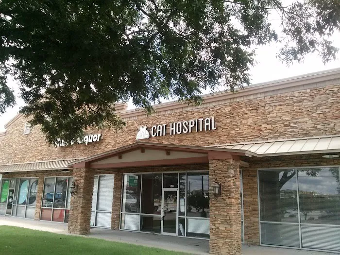 South Austin Cat Hospital Picture 2