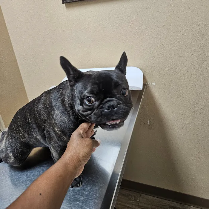 Debbie Lane Animal Clinic Picture 1