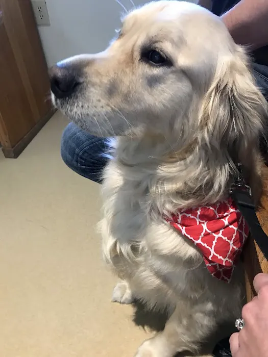 Country Club Pet Hospital Picture 9