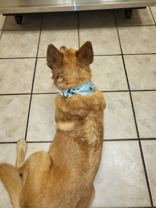 287 Animal Hospital Picture 1