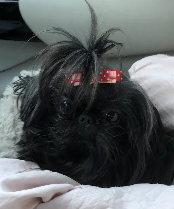 287 Animal Hospital Picture 5