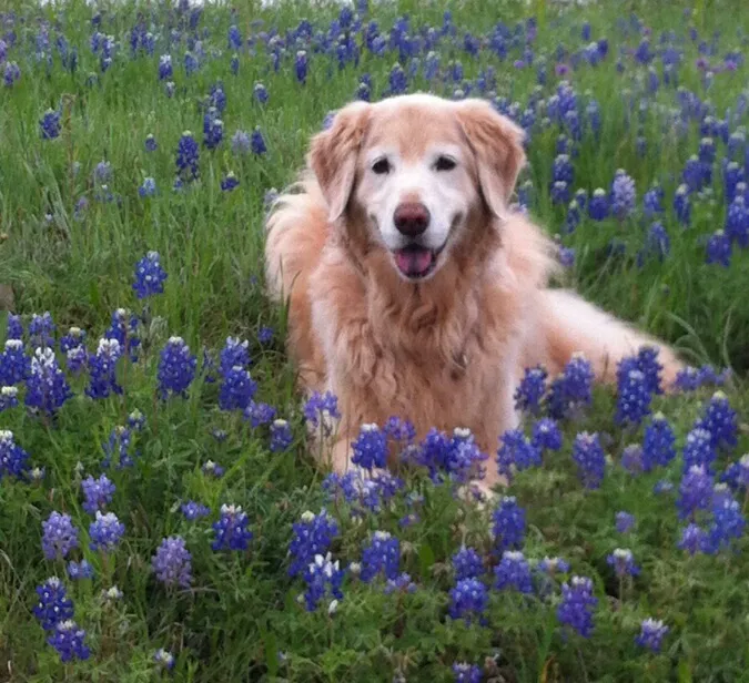 287 Animal Hospital Picture 3