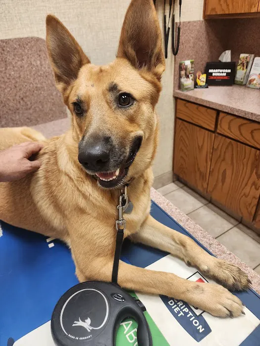 287 Animal Hospital Picture 9