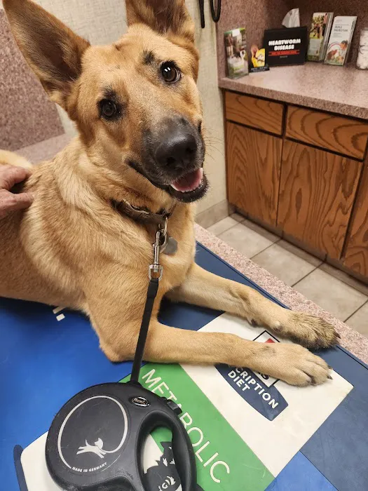 287 Animal Hospital Picture 10