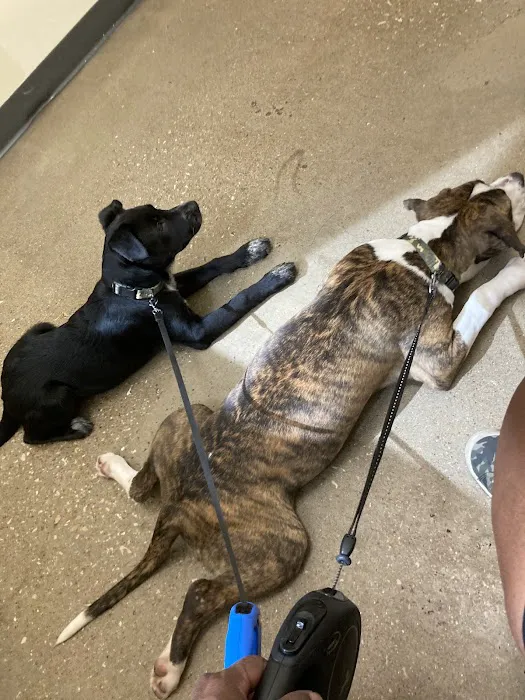 Vetco Total Care Animal Hospital Picture 8