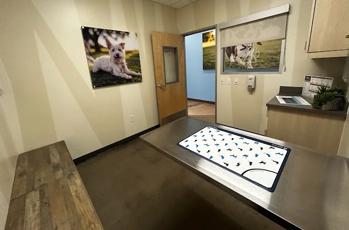 Vetco Total Care Animal Hospital Picture 4