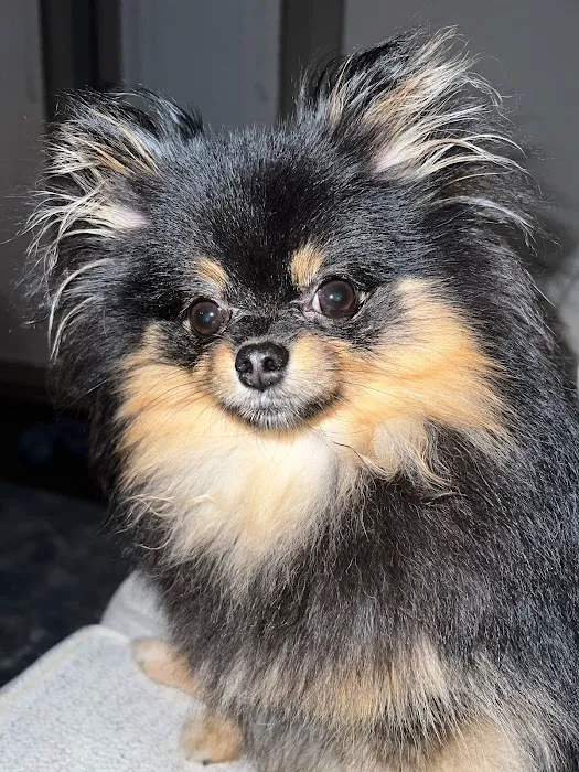 Vetco Total Care Animal Hospital Picture 7