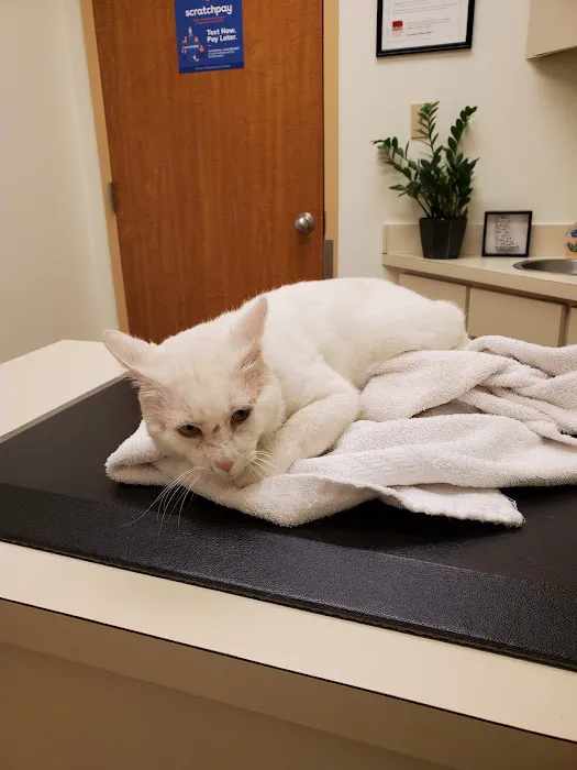 Mansfield Animal Clinic Picture 2