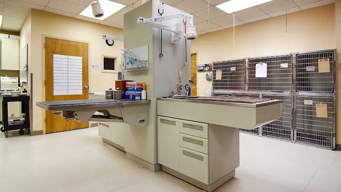 Mansfield Animal Clinic Picture 9