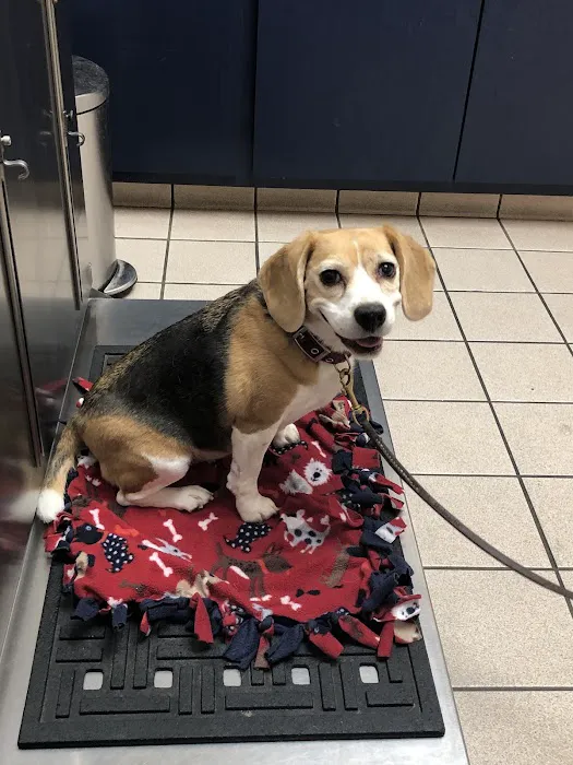 Walnut Creek Animal Clinic Picture 4
