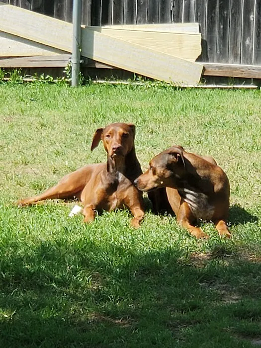 Walnut Creek Animal Clinic Picture 5
