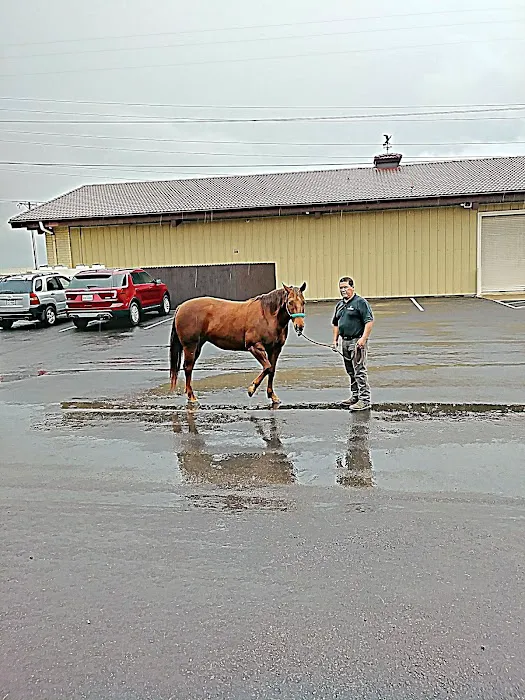 Animal Imaging Picture 5