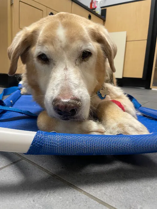 Banfield Pet Hospital Picture 1