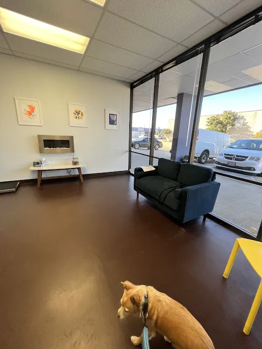 Advocate Veterinary Services By Referral and Appointment Only Picture 2