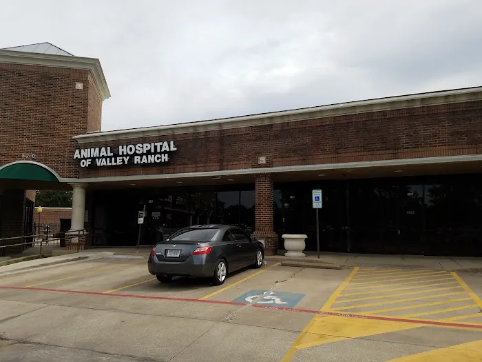 Animal Hospital Of Valley Ranch Picture 3