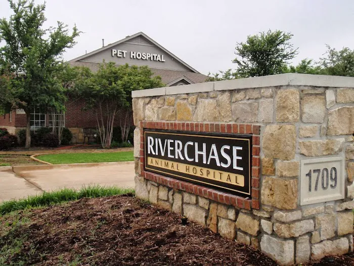 Riverchase Animal Hospital Picture 1