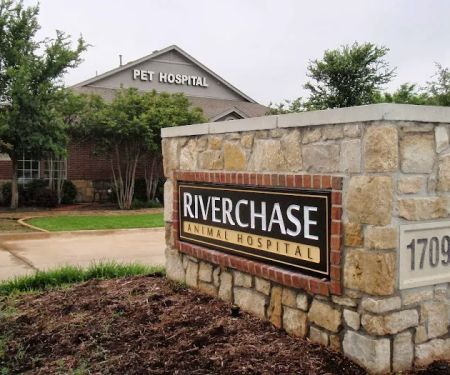 Riverchase Animal Hospital