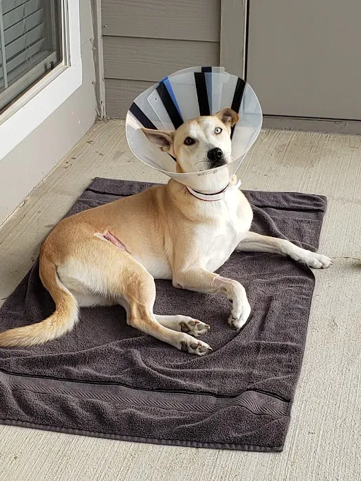 Riverchase Animal Hospital Picture 5