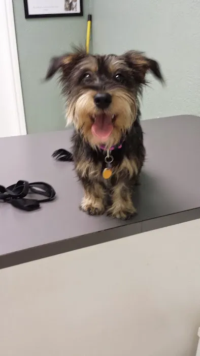 Valley View Pet Health Center Picture 4