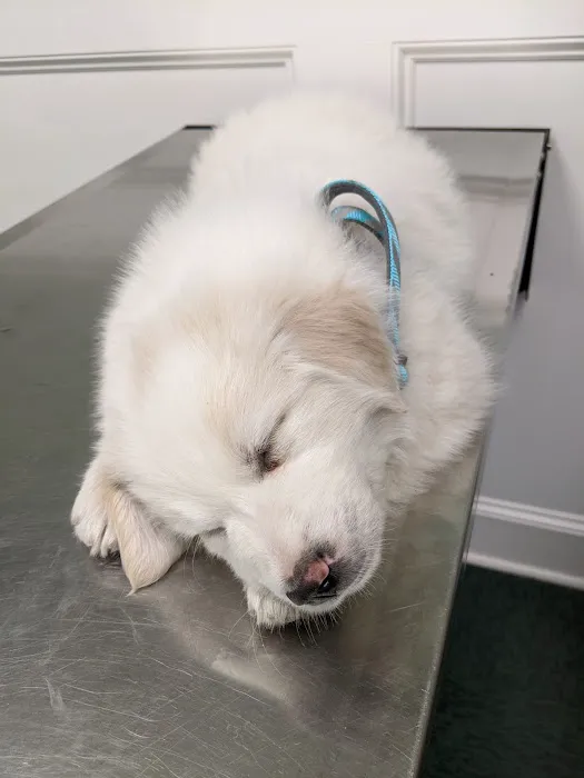 Valley View Pet Health Center Picture 6