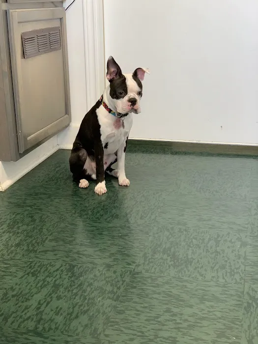 Valley View Pet Health Center Picture 8