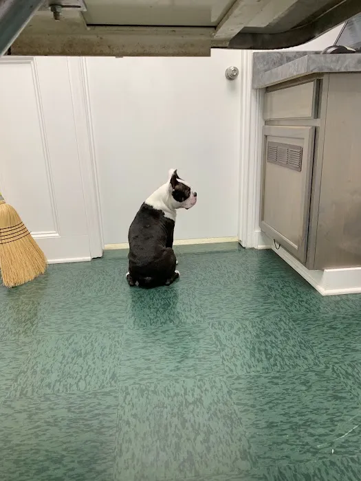 Valley View Pet Health Center Picture 10