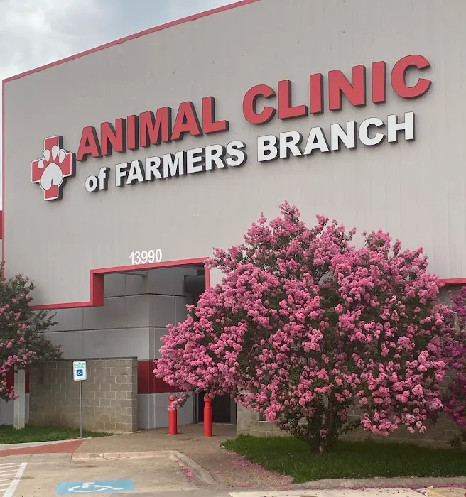 Animal Clinic of Farmers Branch Picture 2