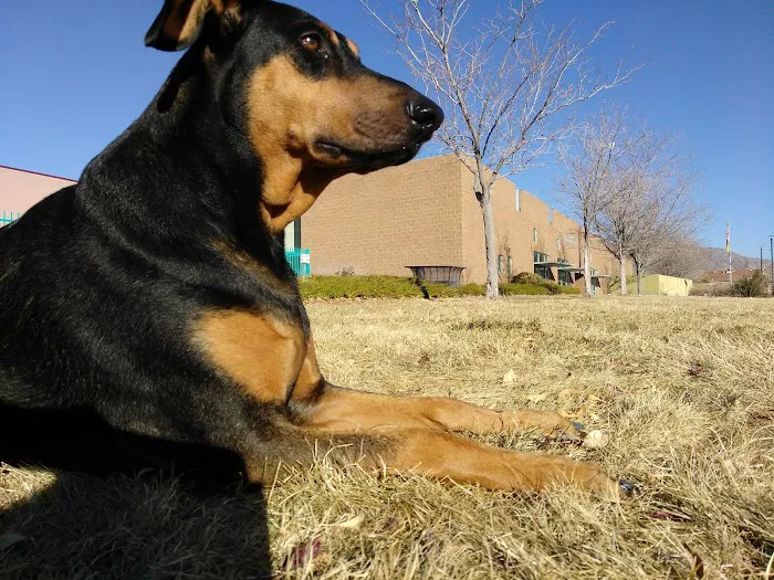 Los Lunas Animal Clinic Picture 8