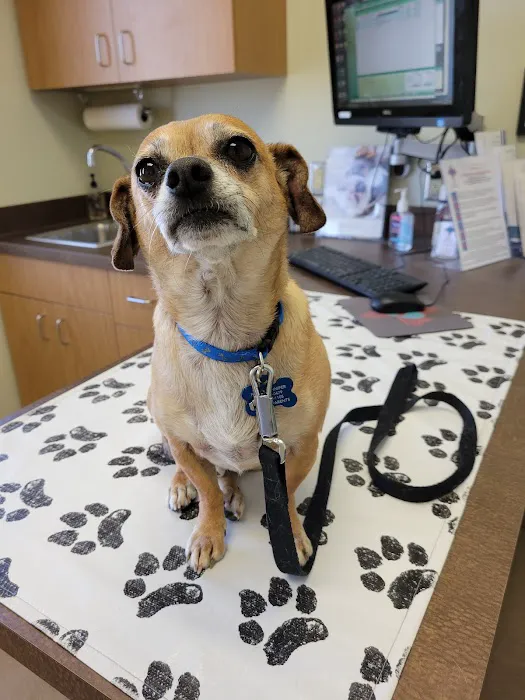 Zia Pet Hospital Picture 1