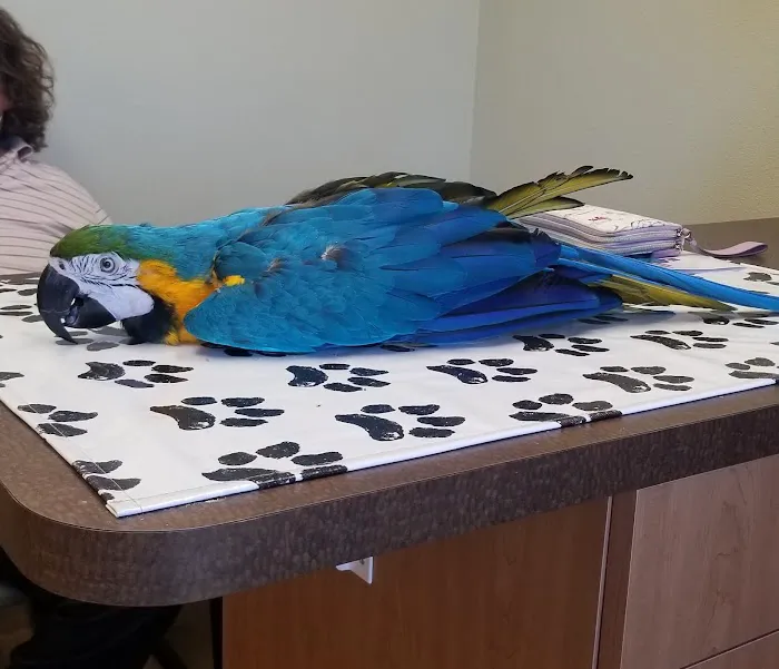 Zia Pet Hospital Picture 5