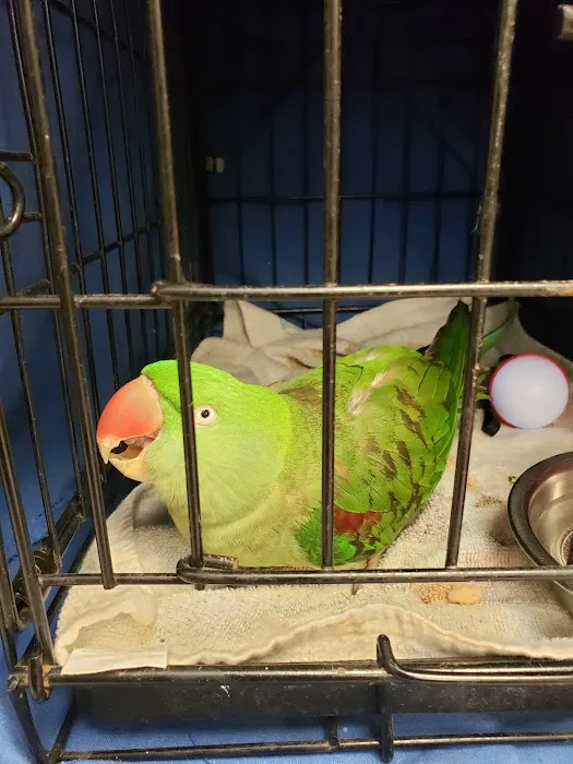 Sunrise Veterinary Clinic LLC Picture 4