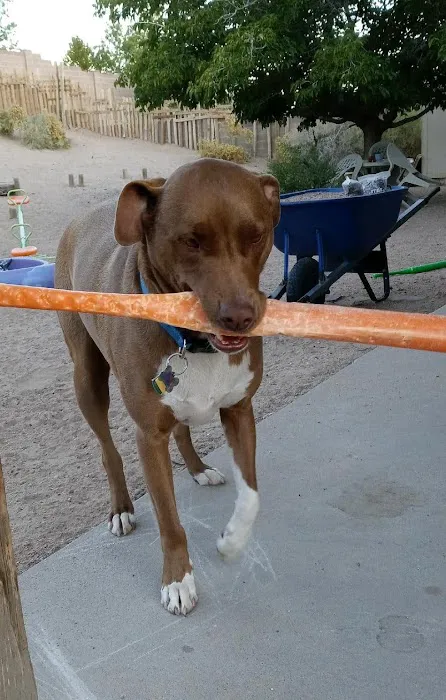 Sunrise Veterinary Clinic LLC Picture 9