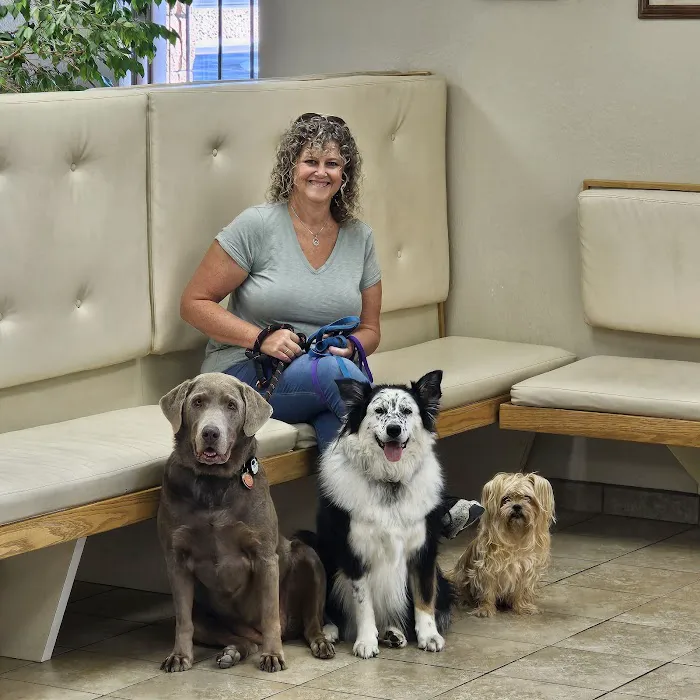 Sunrise Veterinary Clinic LLC Picture 10