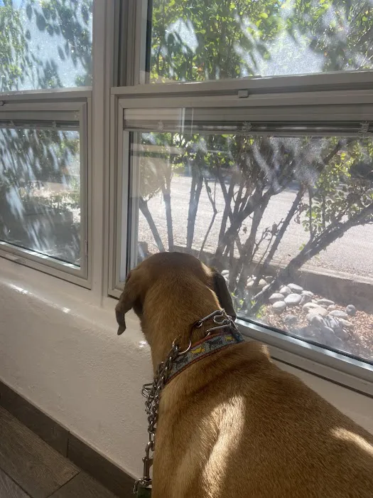 Corrales Veterinary Clinic Picture 5