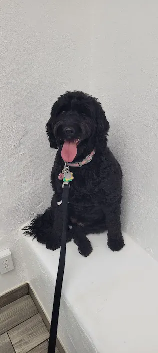 Corrales Veterinary Clinic Picture 10