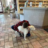 Park Place Pet Hospital ico