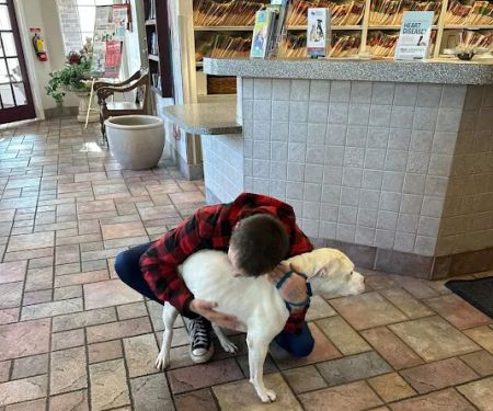 Park Place Pet Hospital