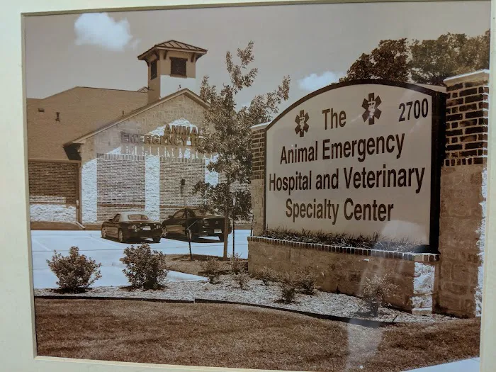 Veterinary Specialty Center & Animal Emergency Hospital Picture 1
