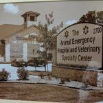 Veterinary Specialty Center & Animal Emergency Hospital