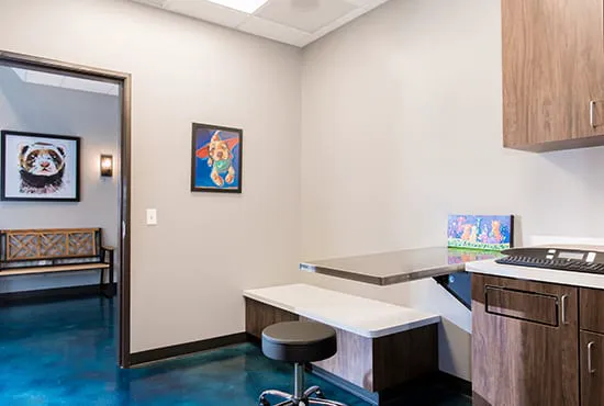 Dallas Veterinary Dentistry & Oral Surgery Picture 1