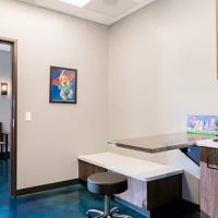 Dallas Veterinary Dentistry & Oral Surgery ico