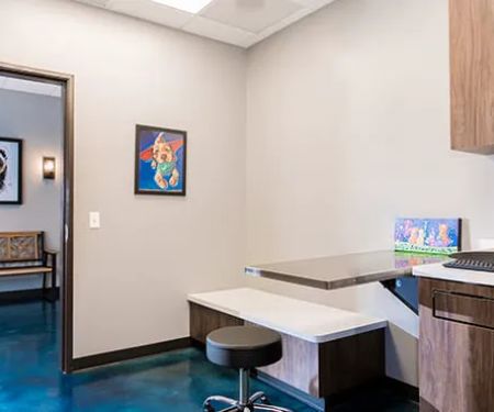 Dallas Veterinary Dentistry & Oral Surgery